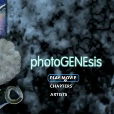 photogenesis