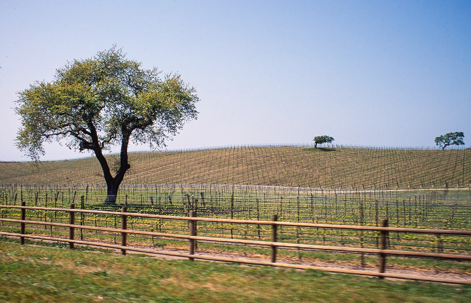 wine country
