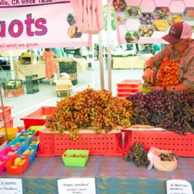 santa barbara farmers market